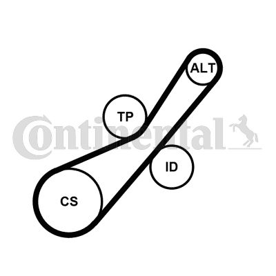 Zestaw paska klinowego wielorowkowego CONTINENTAL CTAM 6pk800k2