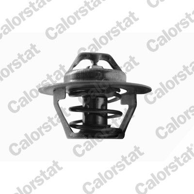 Termostat, płyn chłodzący CALORSTAT by Vernet th6244.92j