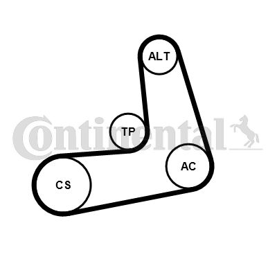 Zestaw paska klinowego wielorowkowego CONTINENTAL CTAM 6PK1005K2