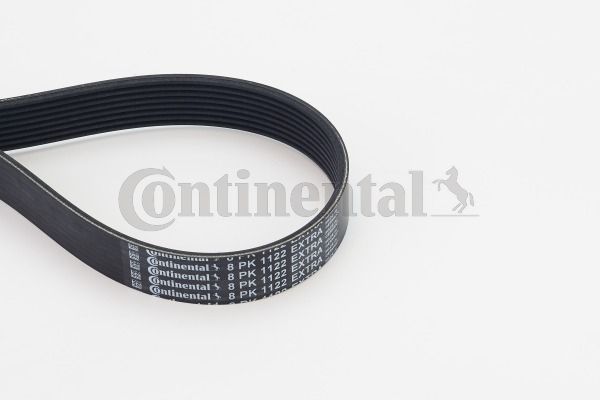 Pasek klinowy wielorowkowy CONTINENTAL CTAM 8PK1122EXTRA