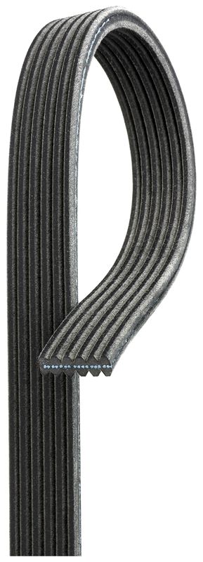 Pasek klinowy wielorowkowy GATES 6DPK1853