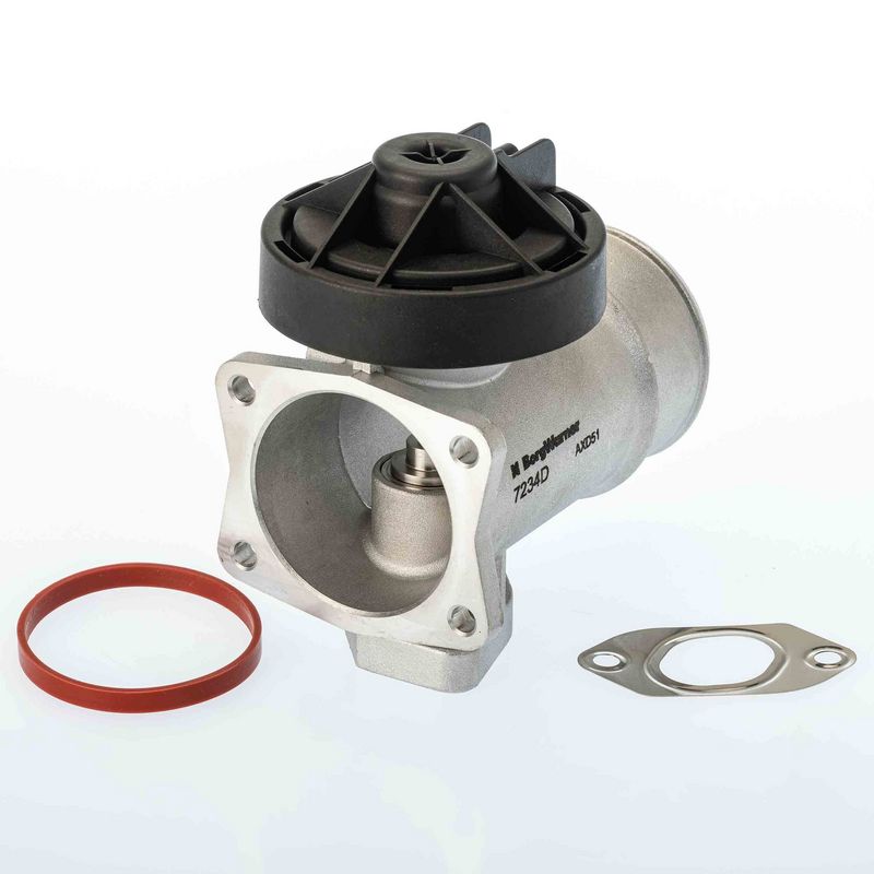 Zawór AGR BorgWarner 7234D