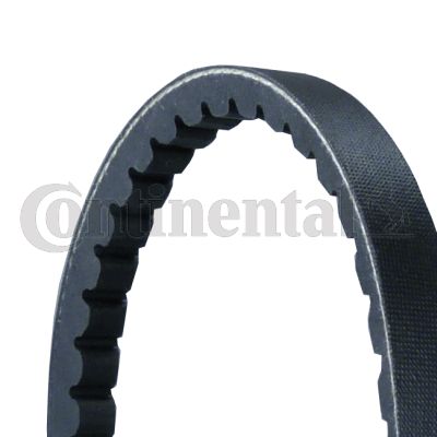 Pasek klinowy CONTINENTAL CTAM AVX13X975