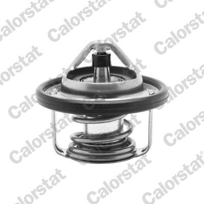 Termostat, płyn chłodzący CALORSTAT by Vernet th6737.88j