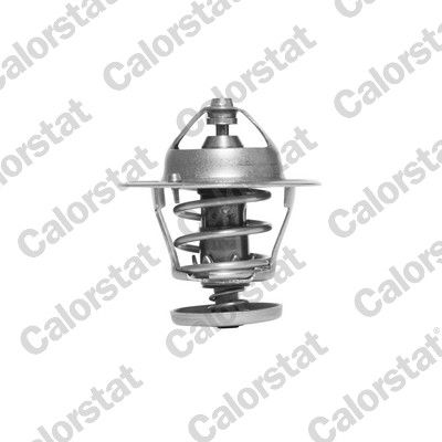 Termostat, płyn chłodzący CALORSTAT by Vernet th6296.78j