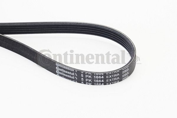 Pasek klinowy wielorowkowy CONTINENTAL CTAM 5PK1664EXTRA