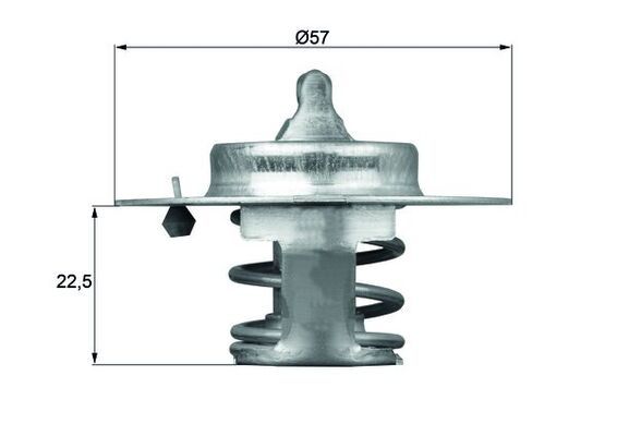 Termostat, płyn chłodzący MAHLE TX 60 83D