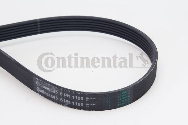 Pasek klinowy wielorowkowy CONTINENTAL CTAM 6PK1180