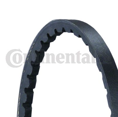 Pasek klinowy CONTINENTAL CTAM AVX10X710
