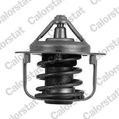 Termostat, płyn chłodzący CALORSTAT by Vernet TH5076.82J