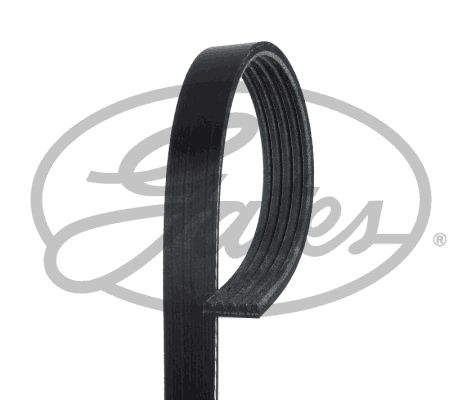 Pasek klinowy wielorowkowy GATES 5pk778