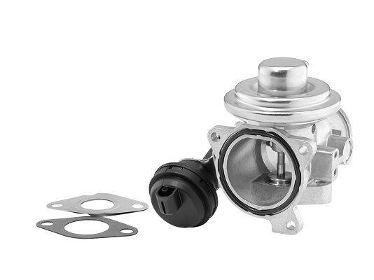 Zawór AGR BorgWarner 7241D