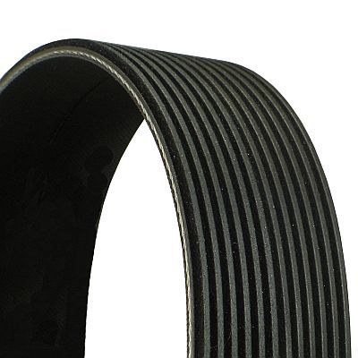 Pasek klinowy wielorowkowy CONTINENTAL CTAM 12 PK 1815