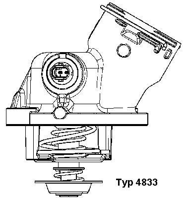 Termostat, płyn chłodzący WAHLER 4833.100D