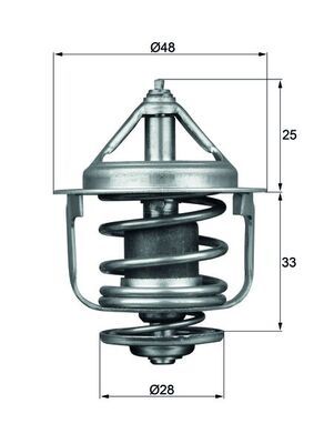 Termostat, płyn chłodzący MAHLE TX 87 77D