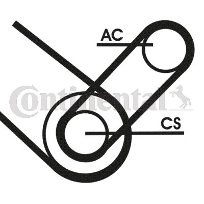 Zestaw paska klinowego wielorowkowego CONTINENTAL CTAM 4PK874 ELAST T1