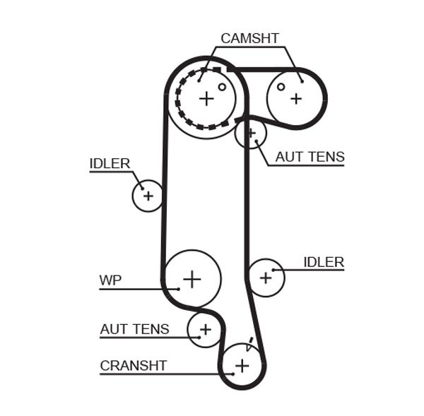 Pasek rozrządu GATES 5565xs