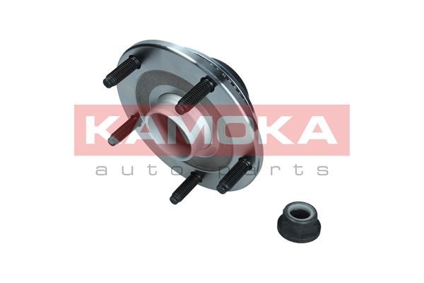 Zestaw łożysk koła KAMOKA 5500253