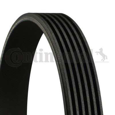 Pasek klinowy wielorowkowy CONTINENTAL CTAM 6PK842ELAST