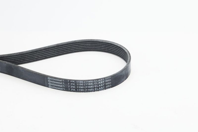 Pasek klinowy wielorowkowy CONTINENTAL CTAM 7PK1190 ELAST