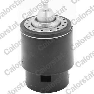 Termostat, płyn chłodzący CALORSTAT by Vernet TH7266.95