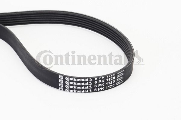 Pasek klinowy wielorowkowy CONTINENTAL CTAM 6PK1120