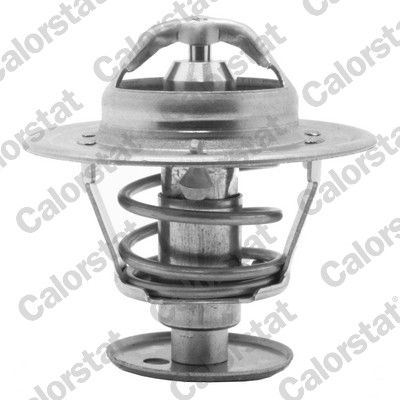 Termostat, płyn chłodzący CALORSTAT by Vernet th5981.89j