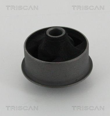 Łożyskowanie, wahacz TRISCAN 8500 13834