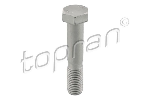 Śruba TOPRAN 503 386