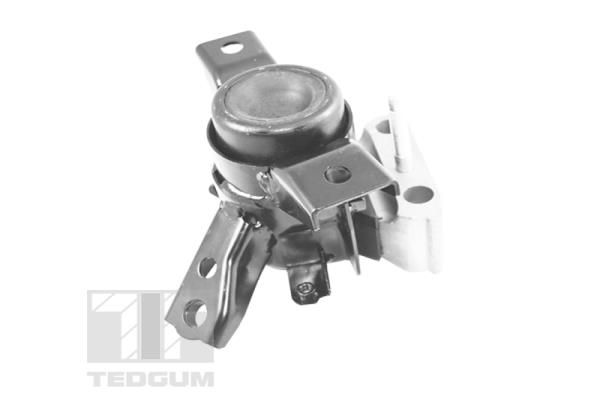 Łożyskowanie silnika TEDGUM ted13922
