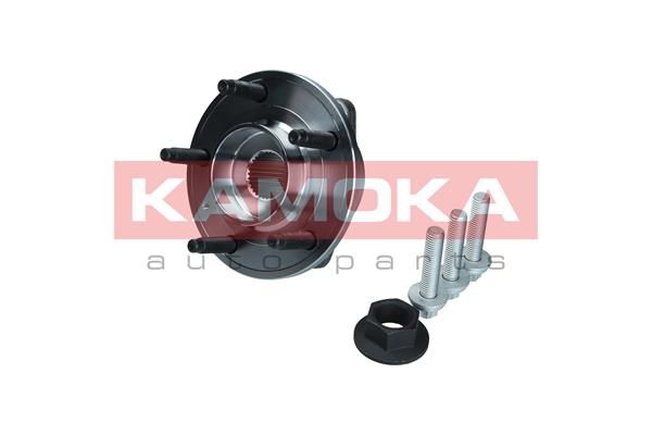 Zestaw łożysk koła KAMOKA 5500199