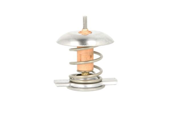 Termostat, płyn chłodzący THERMOTEC D2X006TT