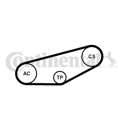 Zestaw paska klinowego wielorowkowego CONTINENTAL CTAM 4PK855K1