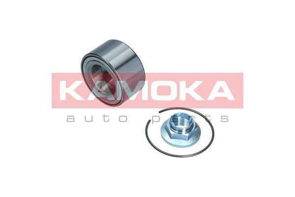Zestaw łożysk koła KAMOKA 5600166