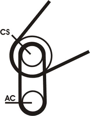 Zestaw paska klinowego wielorowkowego CONTINENTAL CTAM 5PK716 ELAST T1