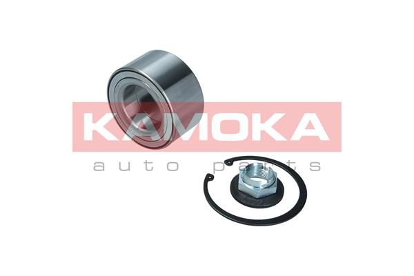 Zestaw łożysk koła KAMOKA 5600146