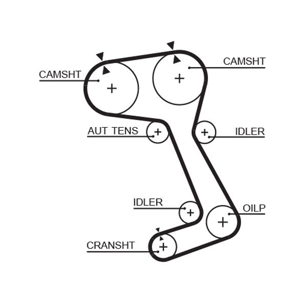 Pasek rozrządu GATES 5364XS