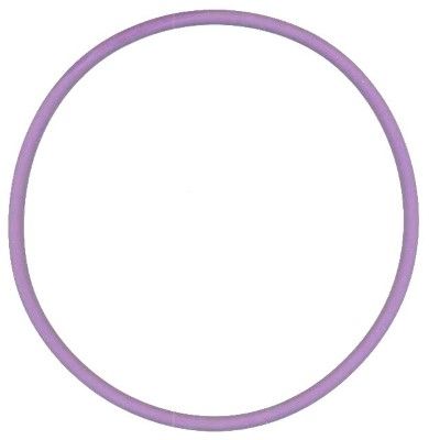 pierścień uszczelniający ELRING 813.583