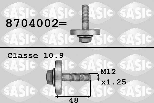 Śruba koła pasowego SASIC 8704002