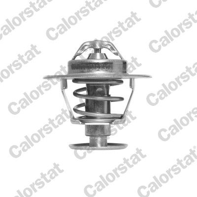 Termostat, płyn chłodzący CALORSTAT by Vernet TH6063.82J