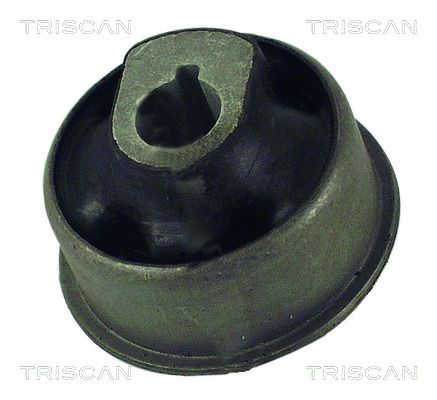 Łożyskowanie, wahacz TRISCAN 850065828