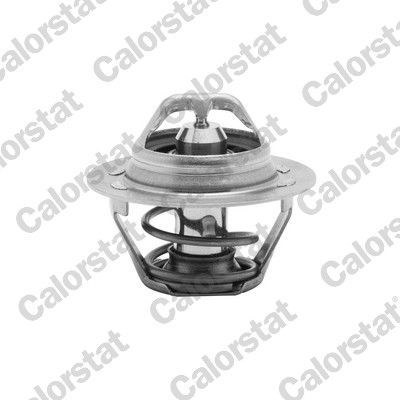 Termostat, płyn chłodzący CALORSTAT by Vernet th6047.75j