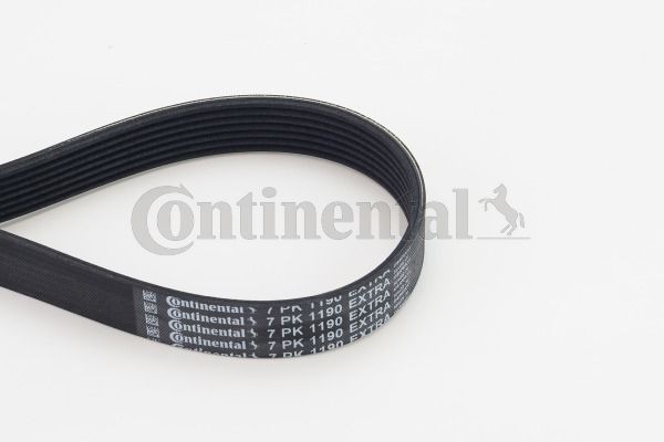 Pasek klinowy wielorowkowy CONTINENTAL CTAM 7PK1190EXTRA
