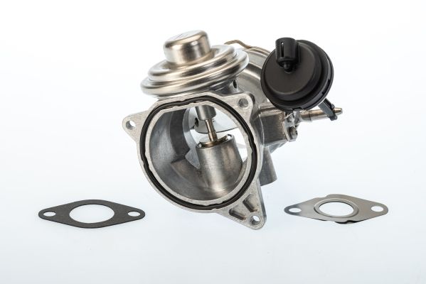 Zawór AGR BorgWarner 7650D
