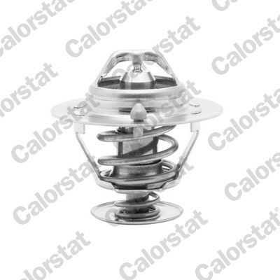 Termostat, płyn chłodzący CALORSTAT by Vernet th6294.88j