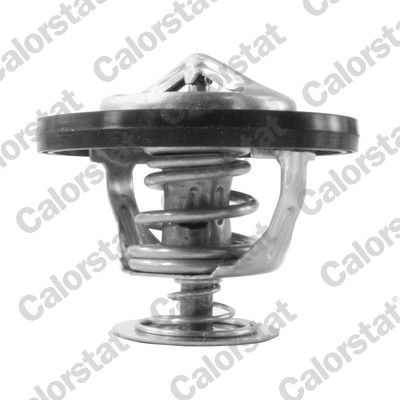 Termostat, płyn chłodzący CALORSTAT by Vernet TH7217.95J