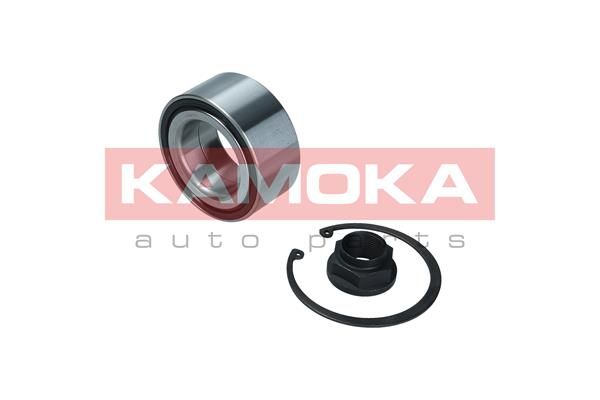 Zestaw łożysk koła KAMOKA 5600154