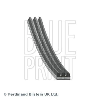 Pasek klinowy wielorowkowy BLUE PRINT AD03R848