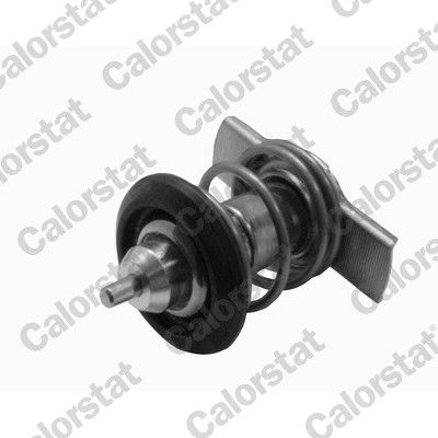 Termostat, płyn chłodzący CALORSTAT by Vernet THK7424.88J