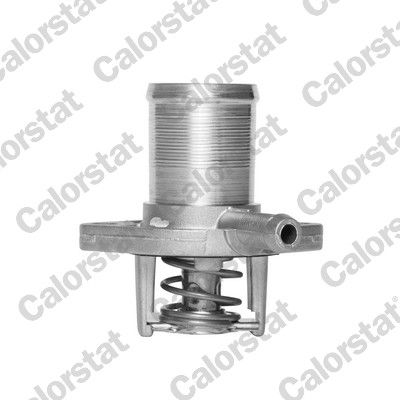 Termostat, płyn chłodzący CALORSTAT by Vernet th5493.89j